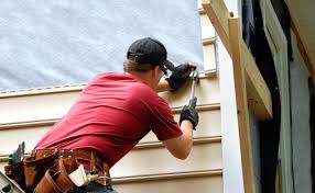 Best Custom Siding Design  in Altamont, TN